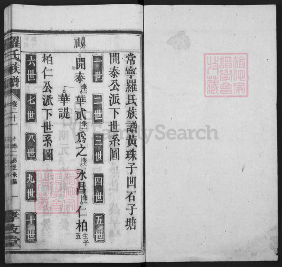 湖南省衡阳市常宁市罗氏孝友堂族谱-罗氏族谱.pdf电子版插图1