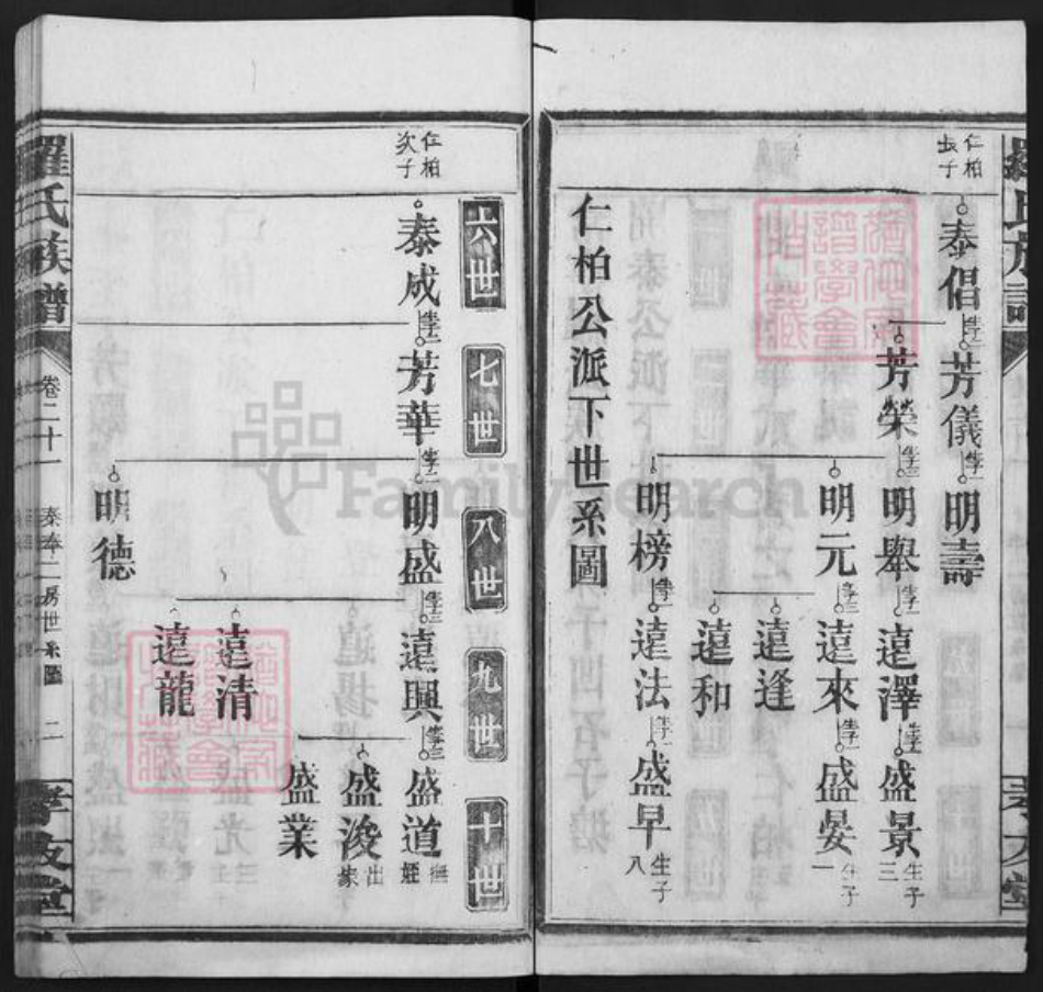 湖南省衡阳市常宁市罗氏孝友堂族谱-罗氏族谱.pdf电子版插图2