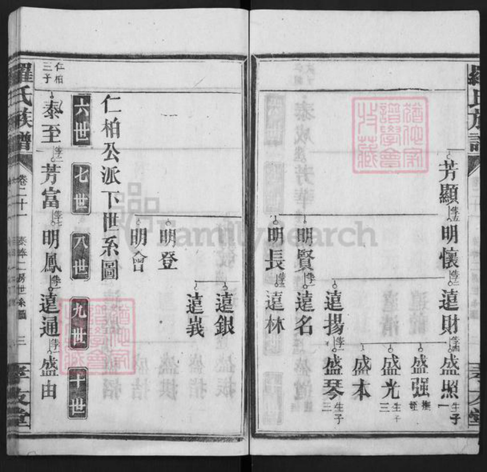 湖南省衡阳市常宁市罗氏孝友堂族谱-罗氏族谱.pdf电子版插图3