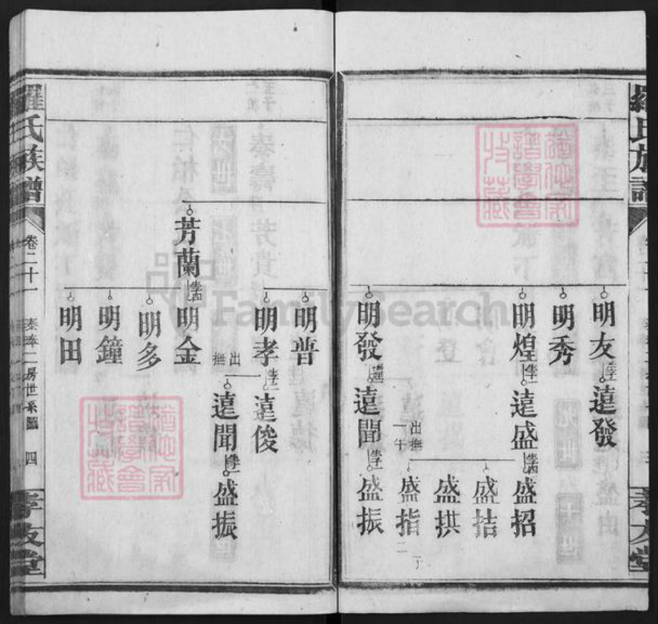 湖南省衡阳市常宁市罗氏孝友堂族谱-罗氏族谱.pdf电子版插图4