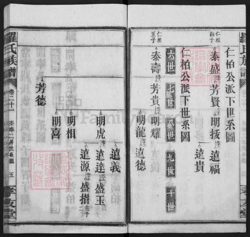 湖南省衡阳市常宁市罗氏孝友堂族谱-罗氏族谱.pdf电子版插图5