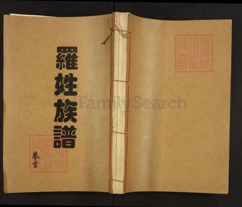 湖南省常德市桃源县罗氏豫章堂族谱-罗姓族谱.pdf电子版插图