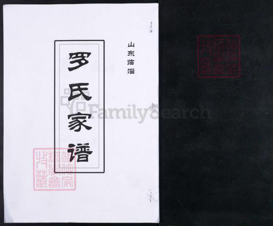 山东省淄博市临淄区朱台镇罗氏族谱-山东临淄罗氏家谱.pdf电子版插图 山东省淄博市临淄区朱台镇罗氏族谱-山东临淄罗氏家谱.pdf电子版插图