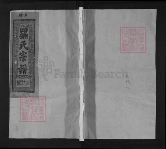 江西省上饶市上饶县罗氏族谱-豫章罗氏宗谱.pdf电子版插图