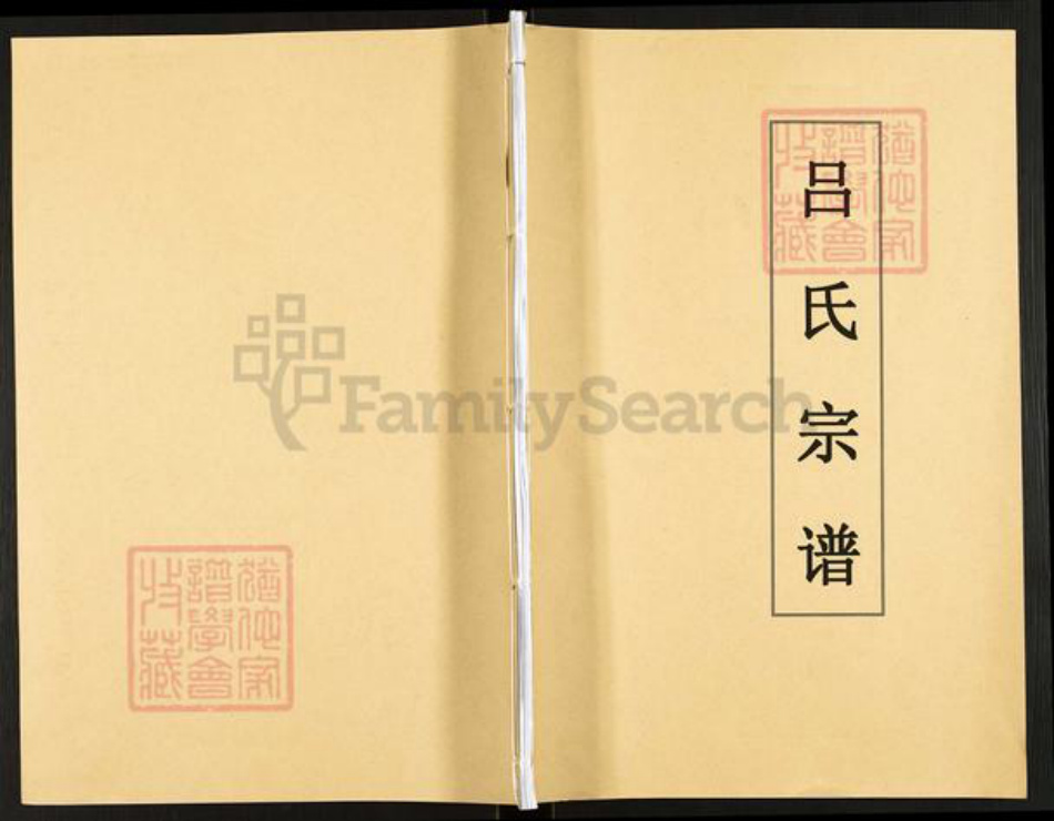 云南省昭通市绥江县吕氏族谱-吕氏宗谱.pdf电子版