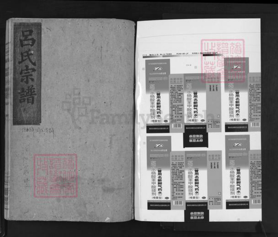 广西壮族自治区桂林市吕氏敦本堂族谱-吕氏宗谱.pdf电子版插图1 广西壮族自治区桂林市吕氏敦本堂族谱-吕氏宗谱.pdf电子版插图1