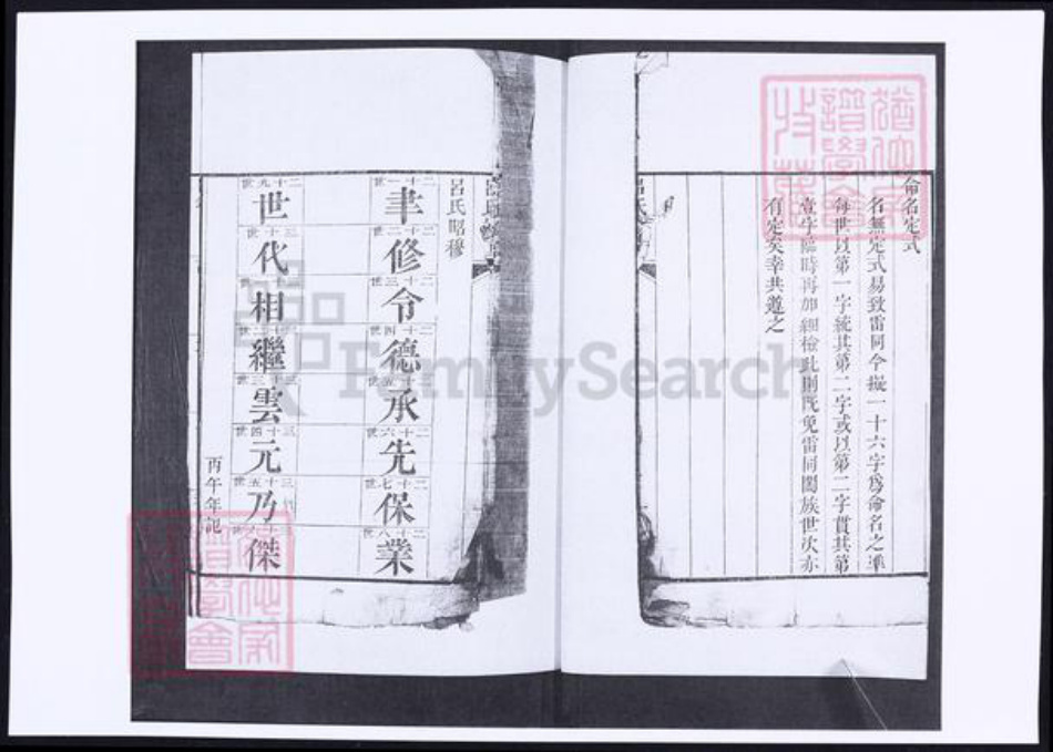 山东省青岛市即墨区吕氏族谱-南窝洛子吕氏族谱.pdf电子版插图4