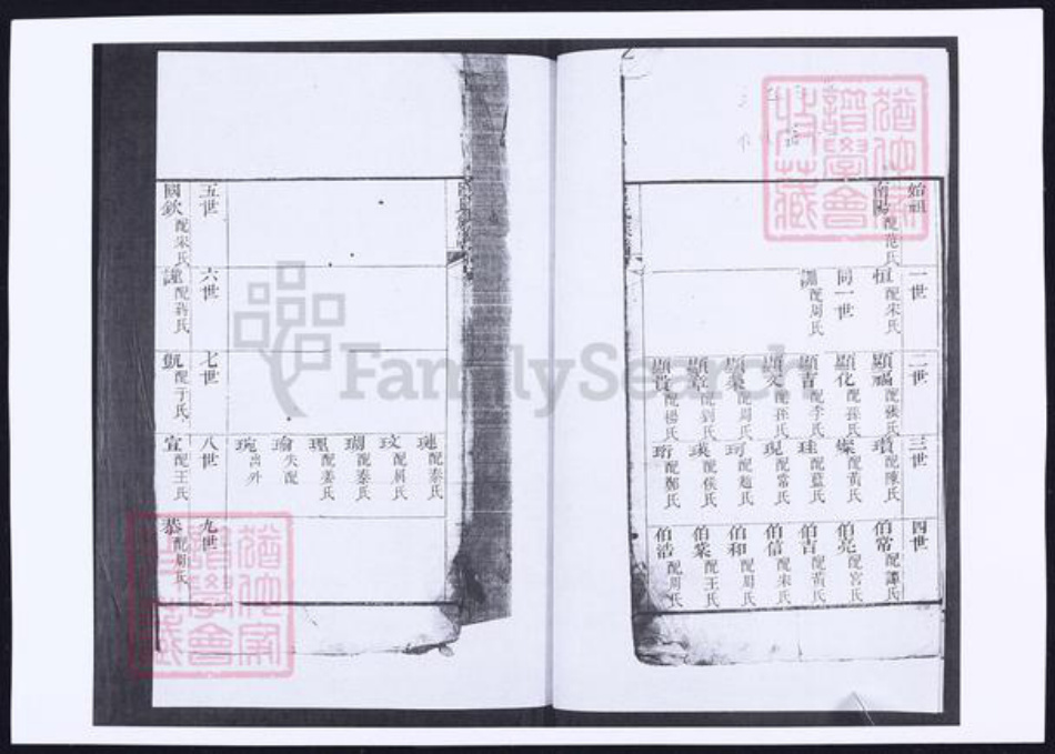 山东省青岛市即墨区吕氏族谱-南窝洛子吕氏族谱.pdf电子版插图5