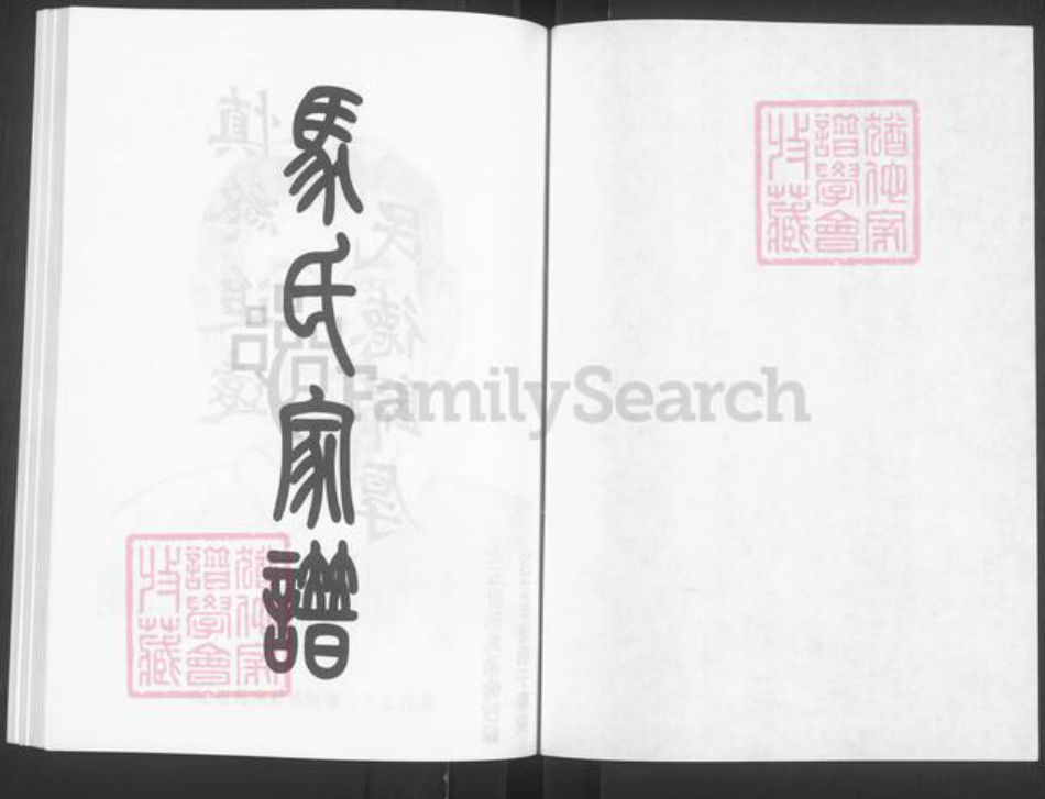山东省泰安市宁阳县蒋集镇马氏族谱-马氏家谱.pdf电子版插图1