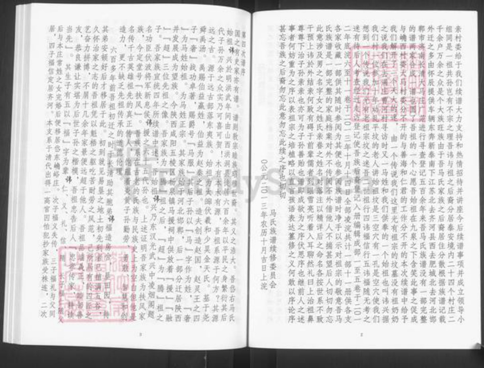 山东省泰安市宁阳县蒋集镇马氏族谱-马氏家谱.pdf电子版插图4
