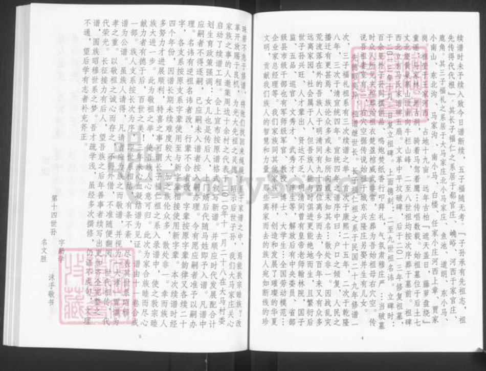 山东省泰安市宁阳县蒋集镇马氏族谱-马氏家谱.pdf电子版插图5
