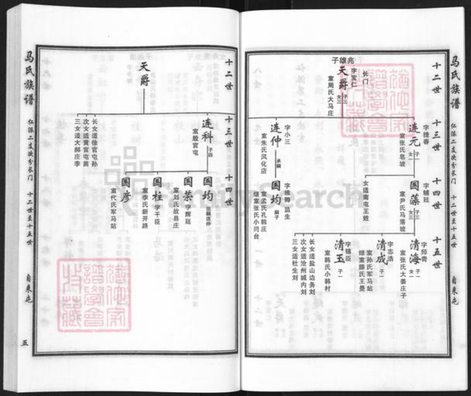 河北省沧州沧县张官屯乡马氏族谱-马氏族谱.pdf电子版插图5