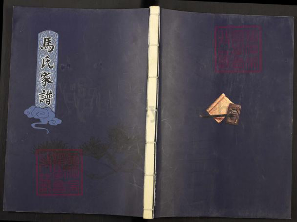 山东省泰安市岱岳区马氏族谱-马氏家谱.pdf电子版插图