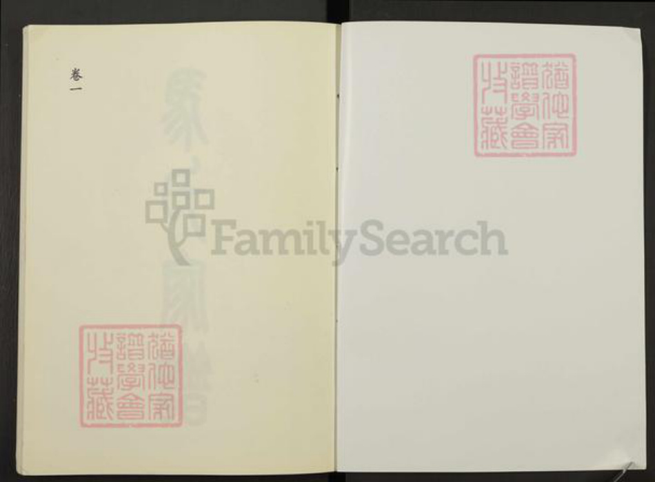 山东省泰安市岱岳区马氏族谱-马氏家谱.pdf电子版插图1