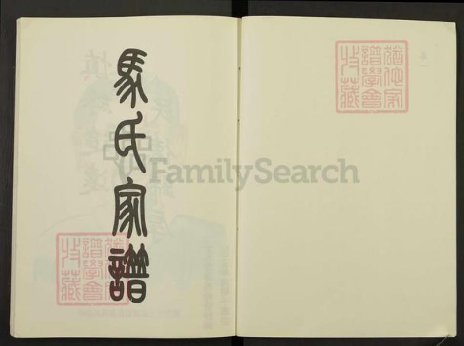 山东省泰安市岱岳区马氏族谱-马氏家谱.pdf电子版插图2