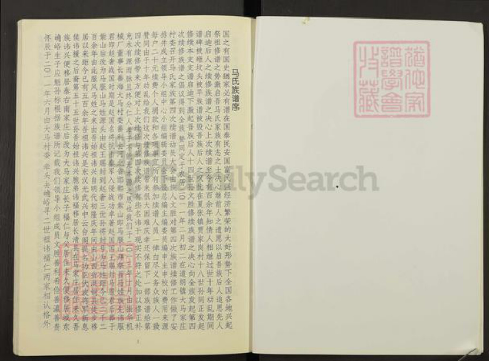 山东省泰安市岱岳区马氏族谱-马氏家谱.pdf电子版插图4