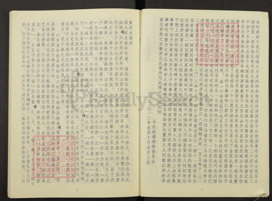 山东省泰安市岱岳区马氏族谱-马氏家谱.pdf电子版插图5
