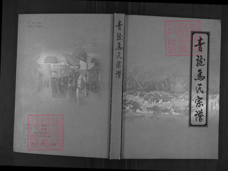 山西省吕梁市柳林县柳林镇马氏族谱-青龙马氏宗谱.pdf电子版