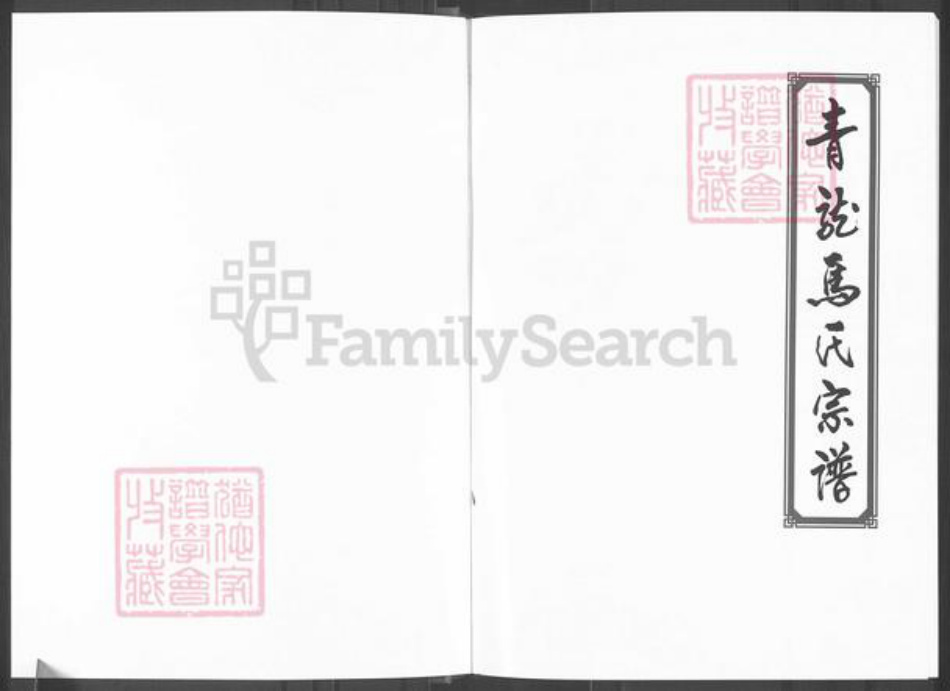 山西省吕梁市柳林县柳林镇马氏族谱-青龙马氏宗谱.pdf电子版插图1