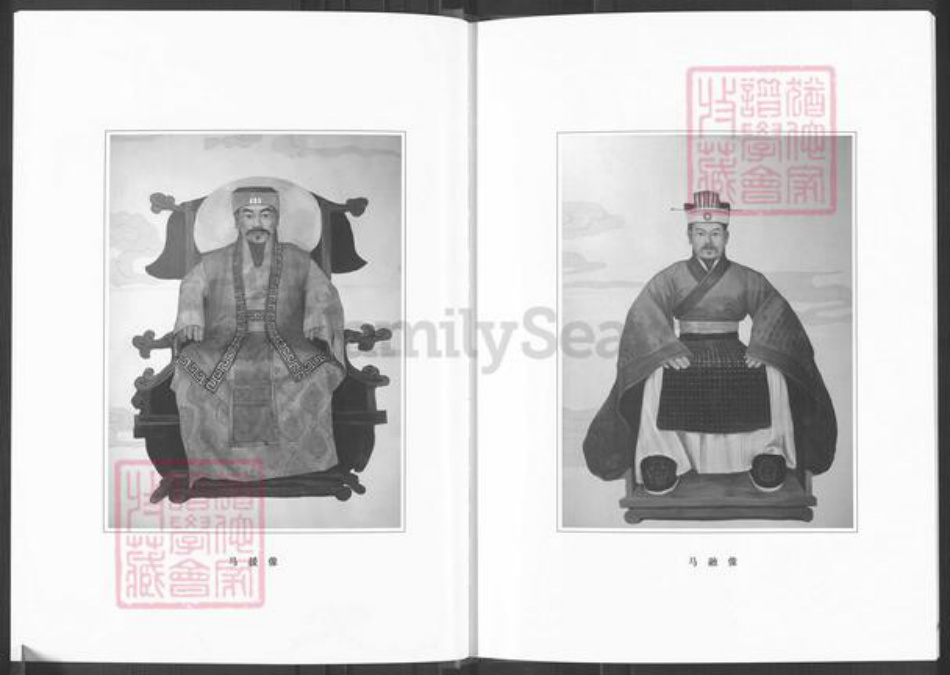 山西省吕梁市柳林县柳林镇马氏族谱-青龙马氏宗谱.pdf电子版插图3