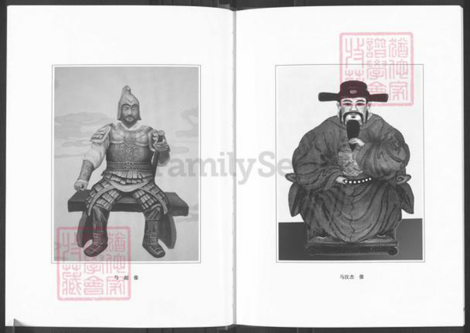 山西省吕梁市柳林县柳林镇马氏族谱-青龙马氏宗谱.pdf电子版插图4