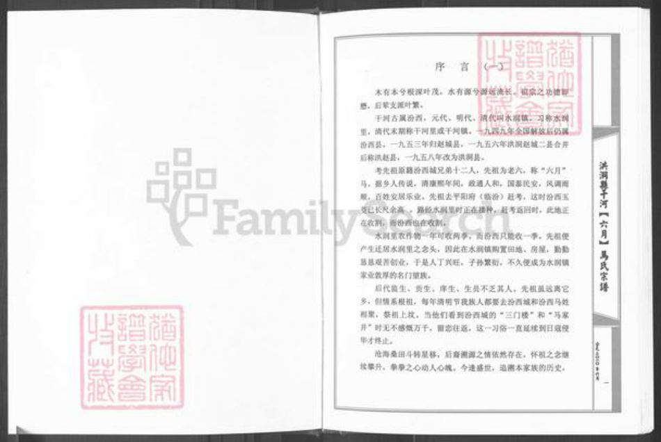 山西省临汾市洪洞县堤村乡马氏族谱-洪洞县干河(六月)马姓宗谱.pdf电子版插图2