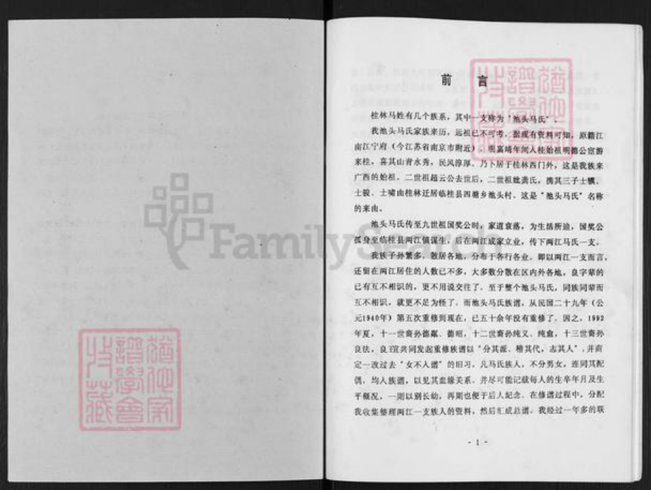 广西壮族自治区桂林市临桂区两江镇马氏族谱-桂林池头马氏两江分支族谱.pdf电子版插图1