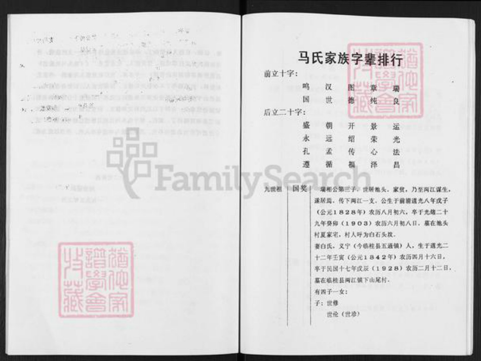 广西壮族自治区桂林市临桂区两江镇马氏族谱-桂林池头马氏两江分支族谱.pdf电子版插图3