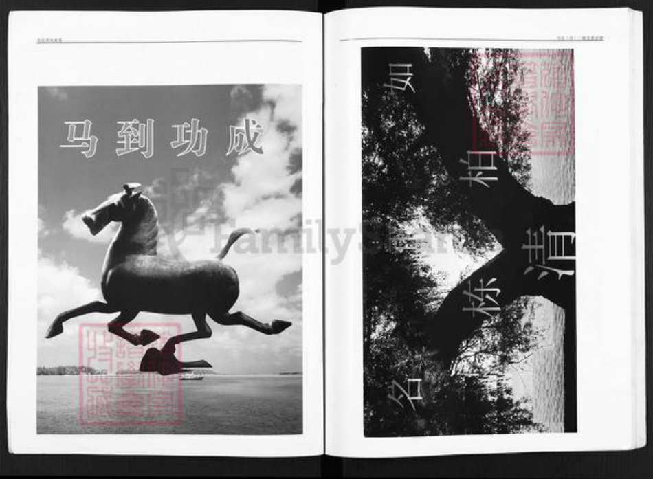 甘肃省武威民勤马氏族谱-马氏清宗谱.pdf电子版插图2 甘肃省武威民勤马氏族谱-马氏清宗谱.pdf电子版插图2