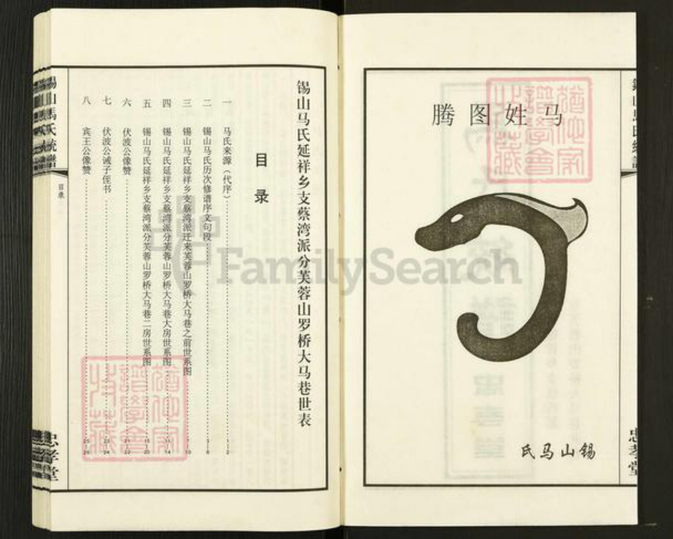 江苏省无锡市锡山区鹅湖镇马氏忠孝堂族谱-锡山马氏统谱.pdf电子版插图2