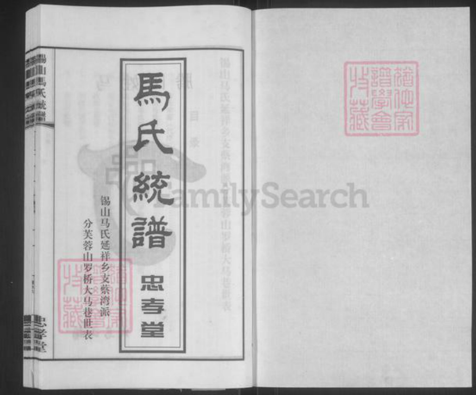 江苏省无锡市锡山区鹅湖镇马氏忠孝堂族谱-马氏统谱.锡山马氏延祥乡支蔡湾派.pdf电子版插图1