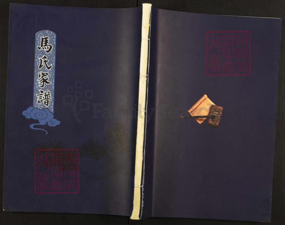 山东省泰安市新泰市宫里镇马氏扶风堂族谱-马氏家谱.pdf电子版插图