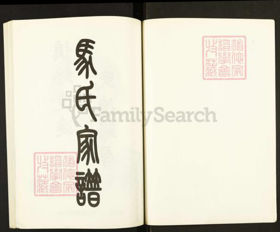 山东省泰安市新泰市宫里镇马氏扶风堂族谱-马氏家谱.pdf电子版插图2