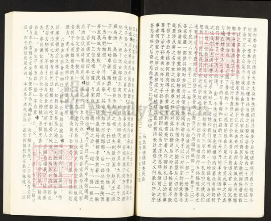 山东省泰安市新泰市宫里镇马氏扶风堂族谱-马氏家谱.pdf电子版插图5