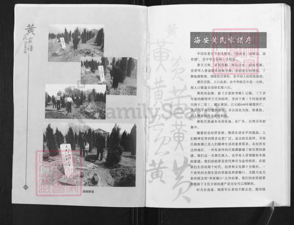 江苏省南通市海安市西城街道马氏族谱-海安马氏家谱.pdf电子版插图1