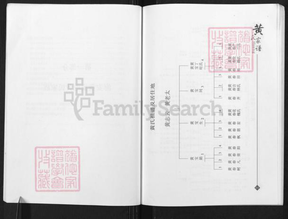 江苏省南通市海安市西城街道马氏族谱-海安马氏家谱.pdf电子版插图5