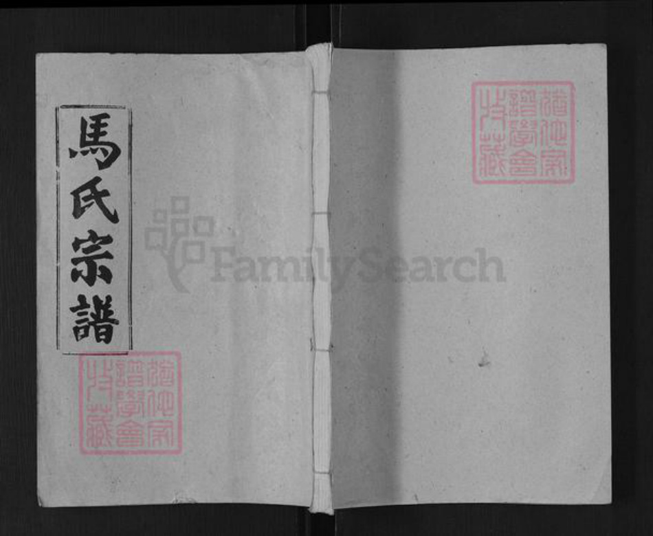 湖北省仙桃市沔城回族镇马氏绛帐堂族谱-马氏宗谱.pdf电子版插图