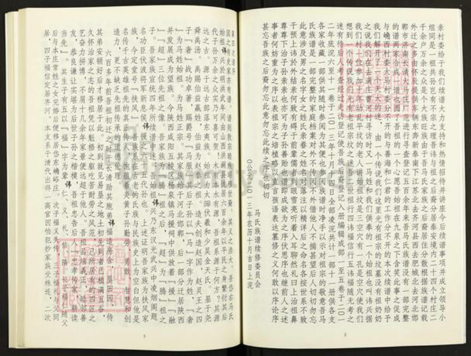 山东省泰安市岱岳区马氏族谱-马氏家谱.pdf电子版插图5