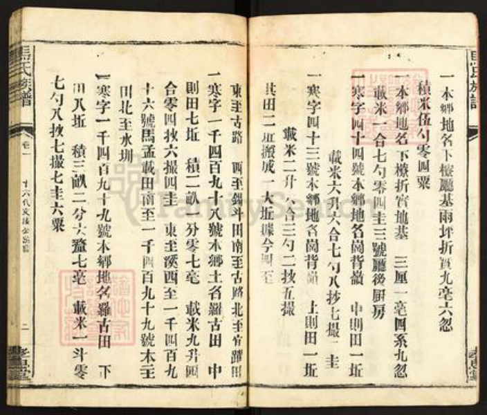 福建省龙岩市长汀县马氏孝忠堂族谱-马氏大宗族谱.pdf电子版插图2