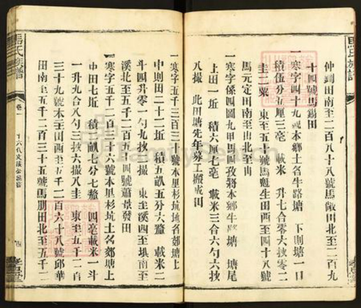 福建省龙岩市长汀县马氏孝忠堂族谱-马氏大宗族谱.pdf电子版插图4