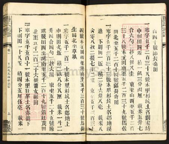 福建省龙岩市长汀县马氏孝忠堂族谱-马氏大宗族谱.pdf电子版插图5