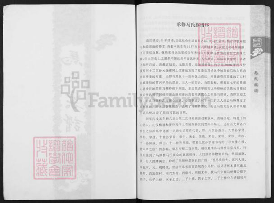 山东省济南市平阴县玫瑰镇马氏族谱-马氏族谱.pdf电子版插图2