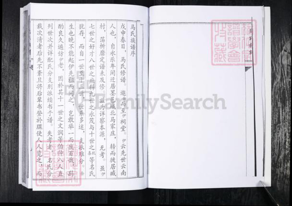 山东省青岛市即墨区马氏族谱-马氏族谱.泉温张村.pdf电子版插图2