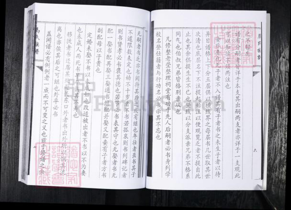 山东省青岛市即墨区马氏族谱-马氏族谱.泉温张村.pdf电子版插图5