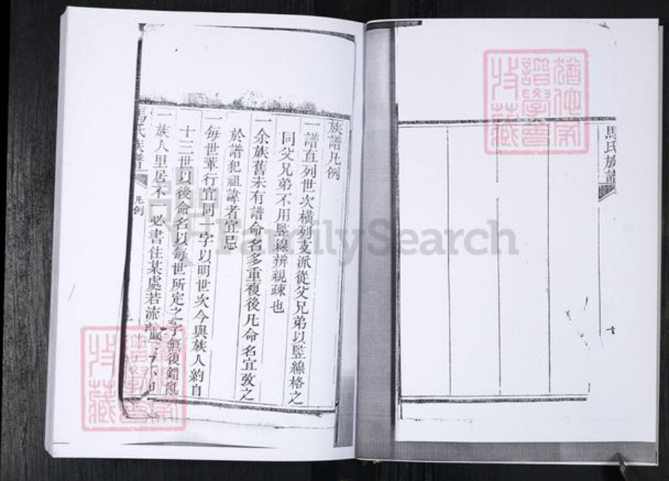 山东省青岛市马氏族谱-马氏族谱.王宿庄.pdf电子版插图4