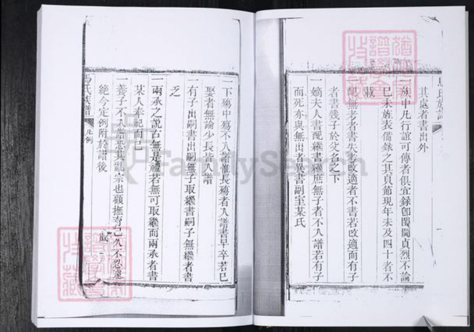 山东省青岛市马氏族谱-马氏族谱.王宿庄.pdf电子版插图5