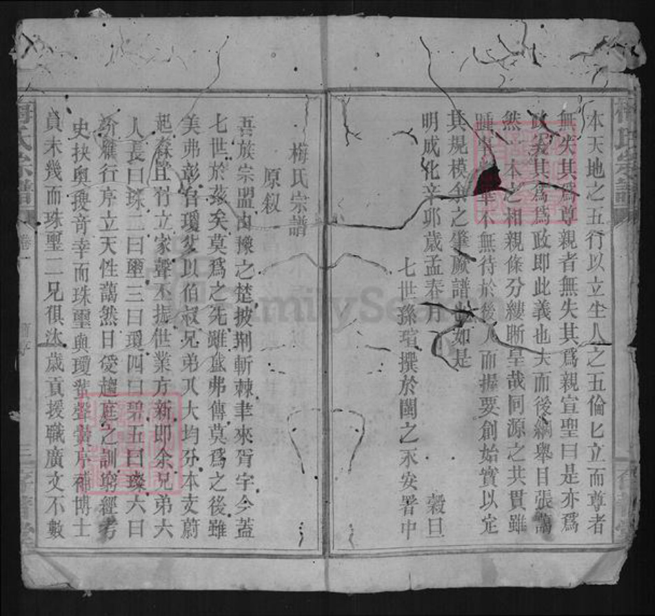 湖北省咸宁市梅氏存普堂族谱-梅氏宗谱.pdf电子版插图2