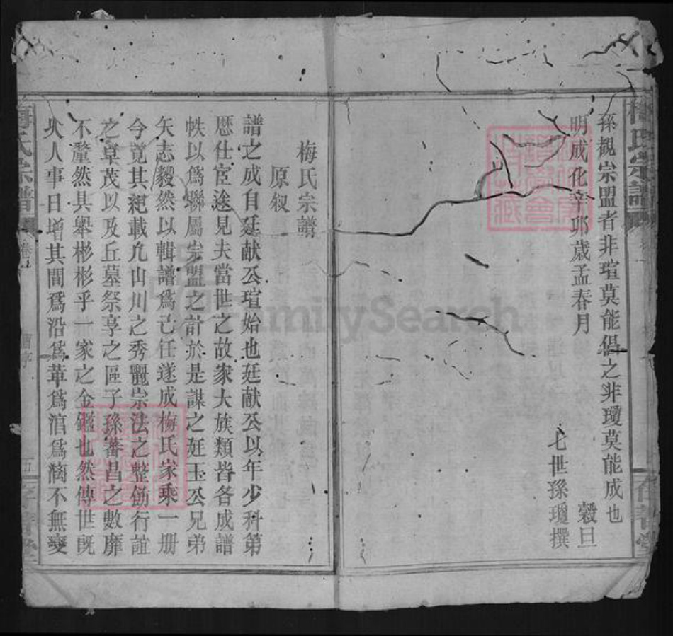 湖北省咸宁市梅氏存普堂族谱-梅氏宗谱.pdf电子版插图4