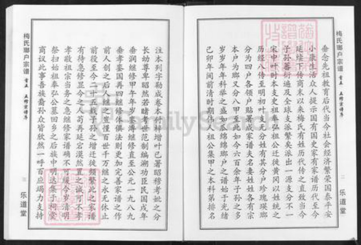 湖北省黄冈市梅氏乐道堂族谱-梅氏琅户宗谱.pdf电子版插图3