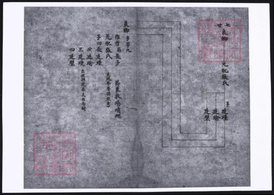山西省晋中市孟氏族谱-祁县孟氏家谱.pdf电子版插图3